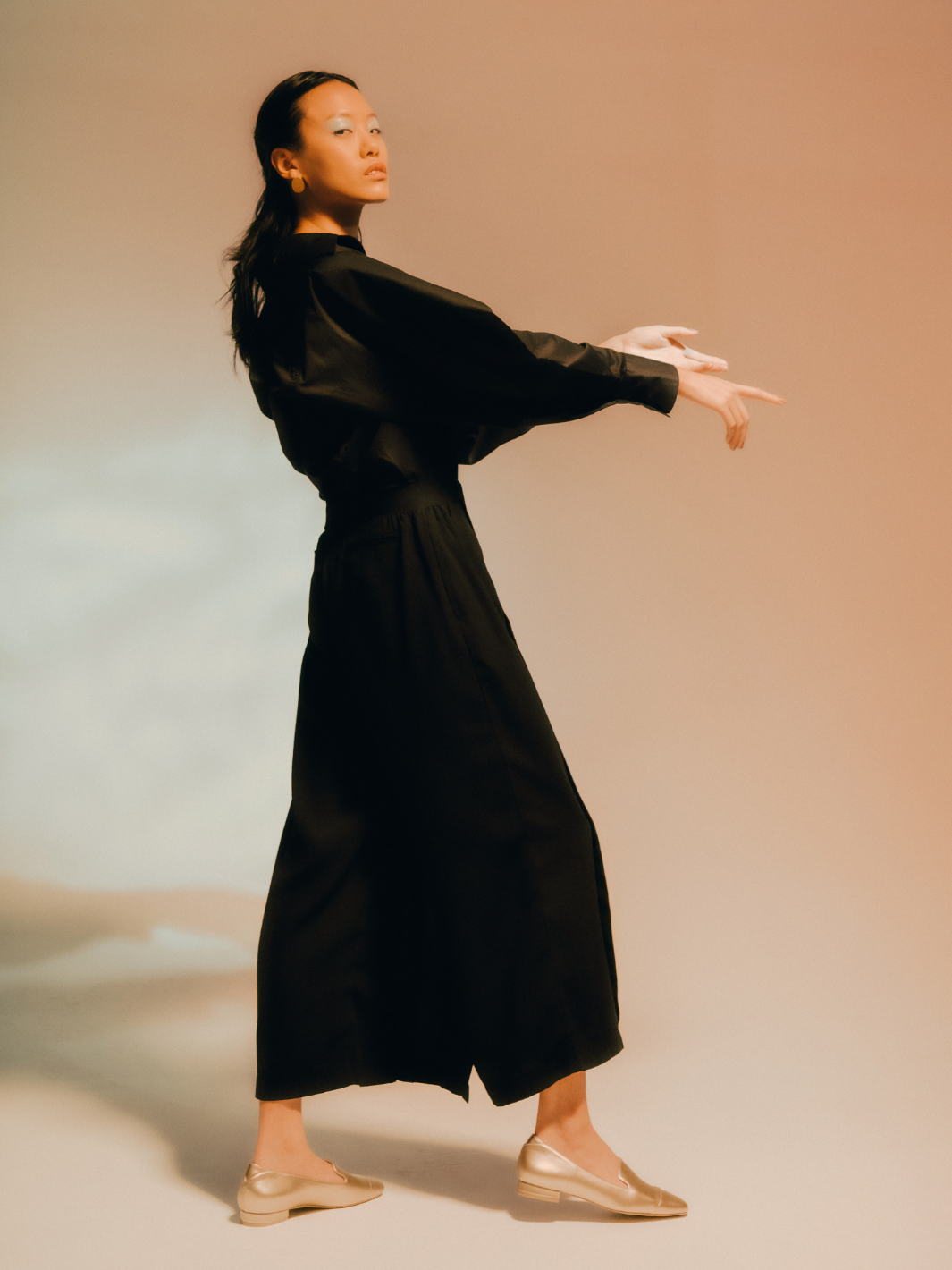 Pleat-Paneled Pants (Black)