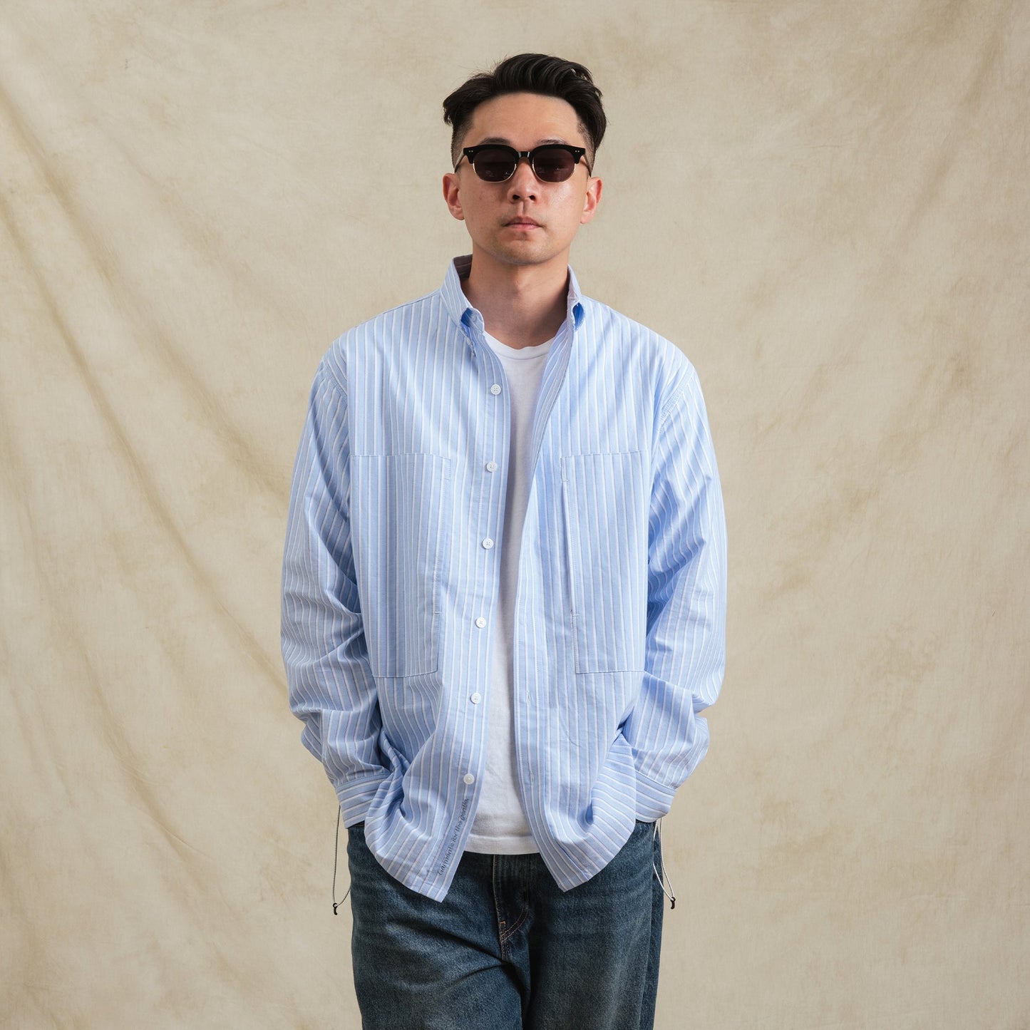 Stripe Sidepull Shirt / Cotton - BLWH