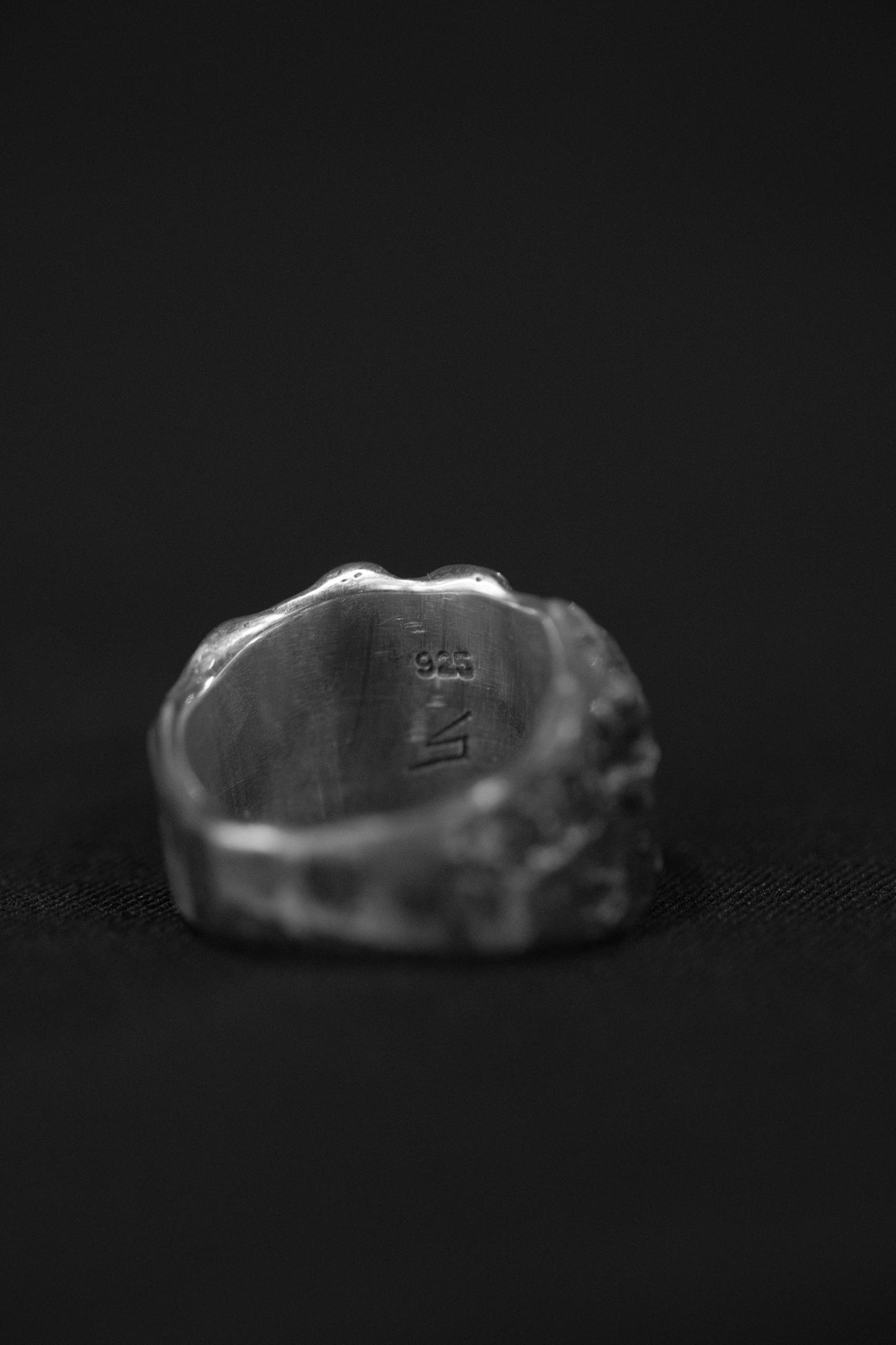 SANATOMY INCISOR 0006