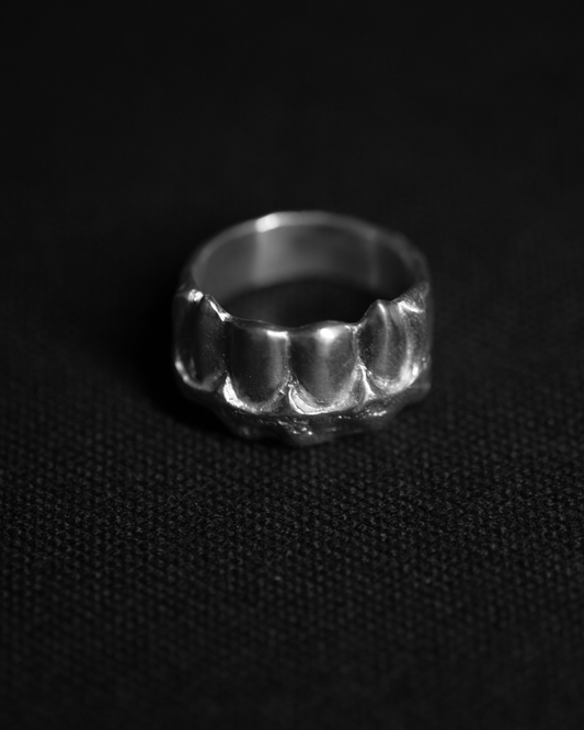 SANATOMY INCISOR 0010