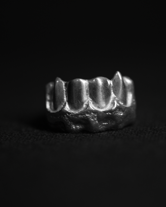 SANATOMY INCISOR 0010