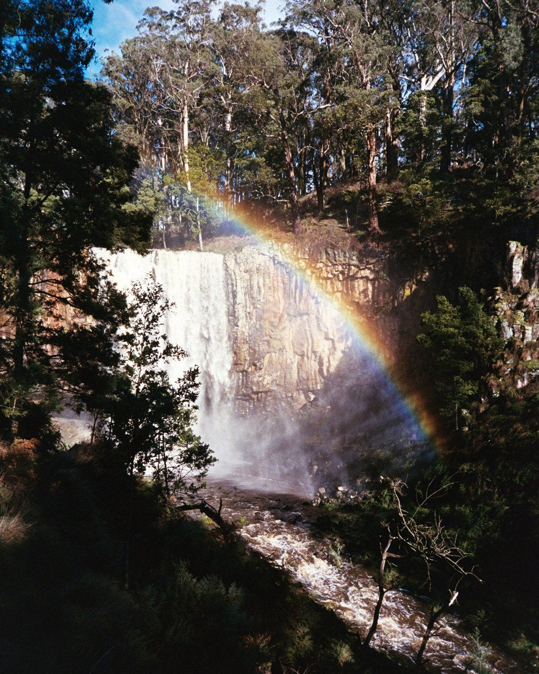 Kodak Ultramax 400 (35mm, 36 exp.)