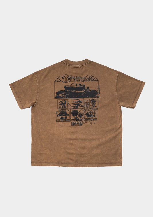 MOUNTAIN TEE WASHED IN BROWN