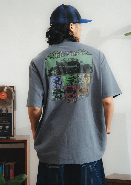 MOUNTAIN TEE WASHED IN GREY